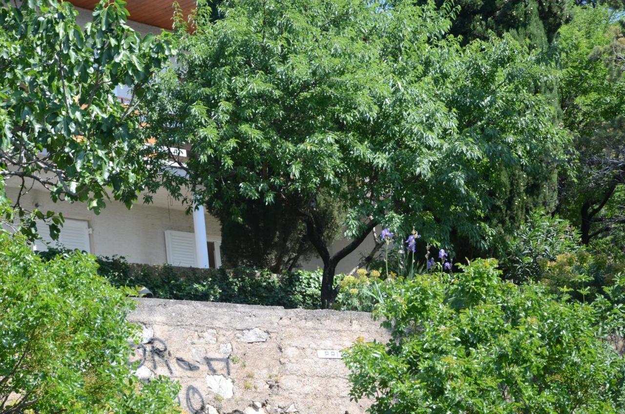 Apartament Corina & Franco Senj  Zewnętrze zdjęcie