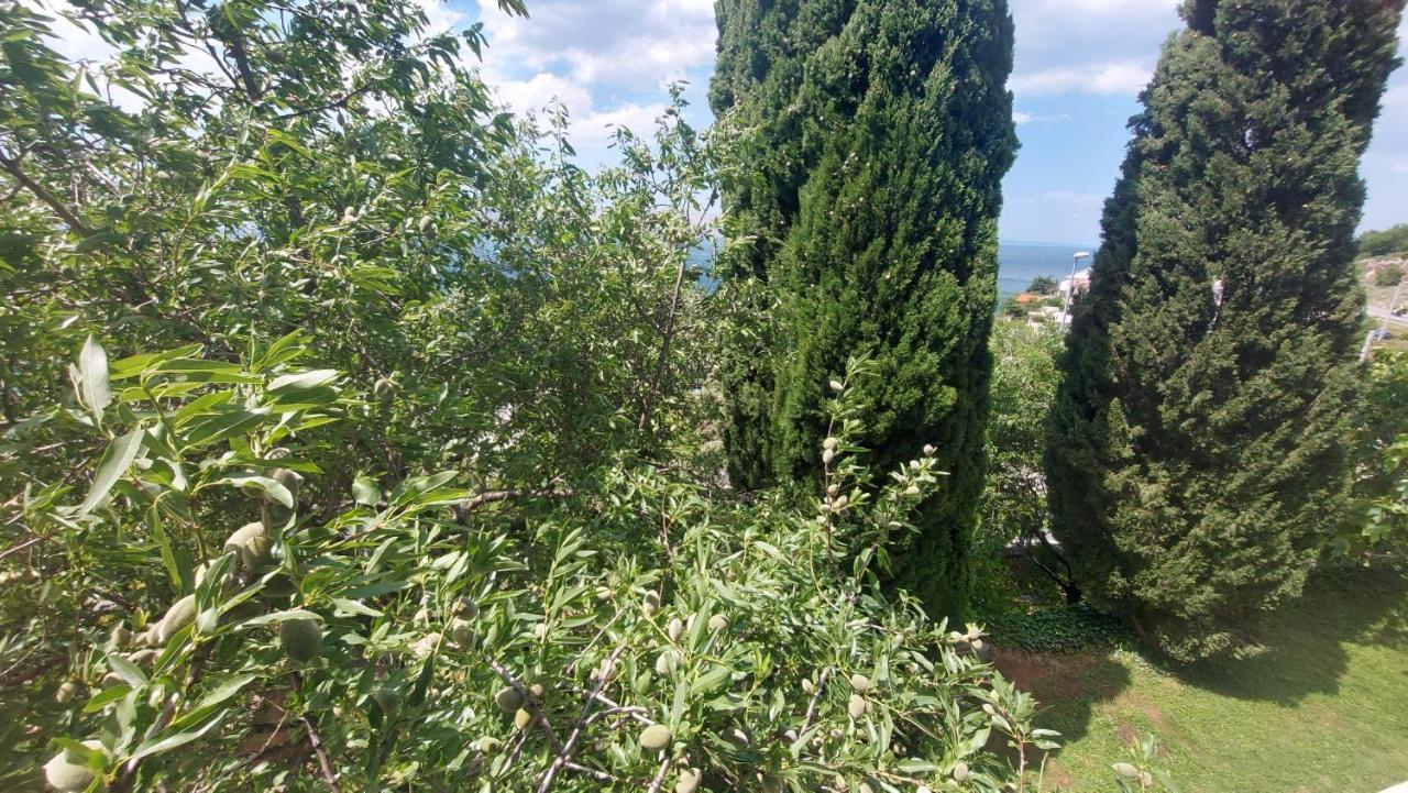 Apartament Corina & Franco Senj  Zewnętrze zdjęcie